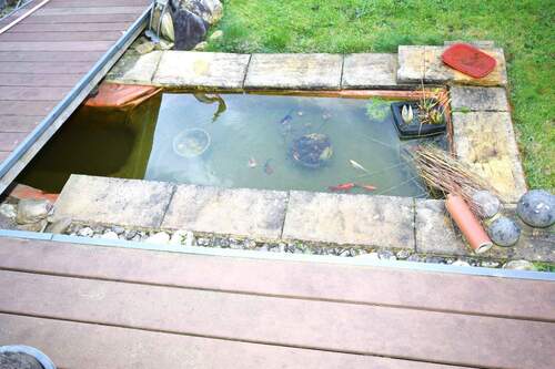 kleiner Teich im Garten - 
