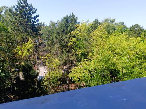 Aussicht Balkon - 
