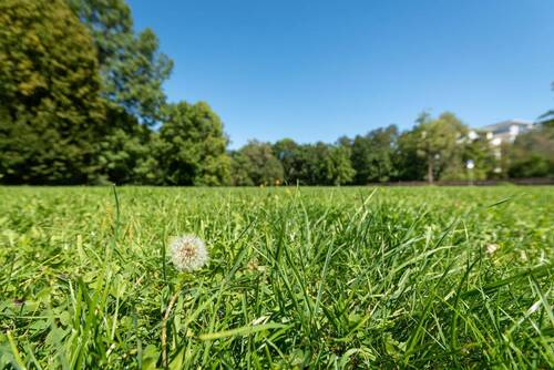 Titelfoto - AIGNER - Attraktives Grundstück in gefragter Lage für DHH EFH