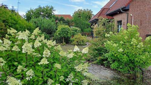Garten - Mehrfamilienhaus, Wohnhaus mit 162,00 m² in Soltau zum Kaufen