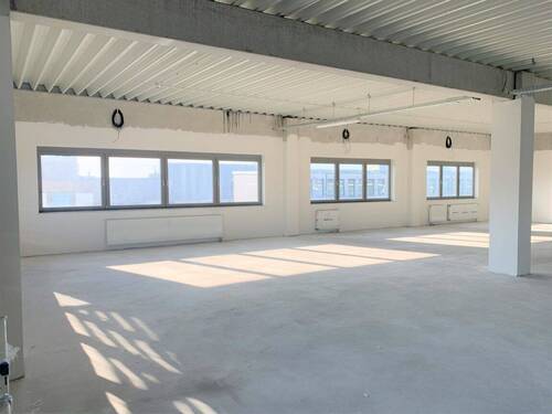 Fensterfront-Hindenburgstr(2) - 