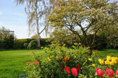 Garten - 