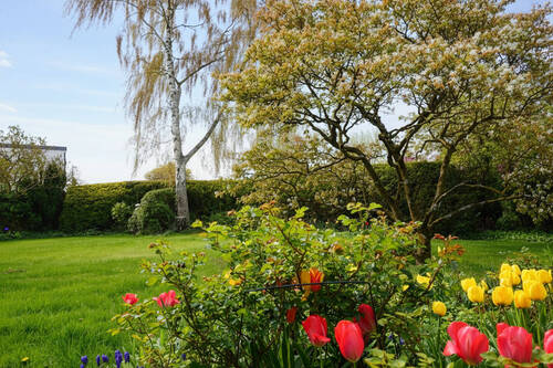 Garten - 