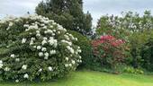 Garten - 