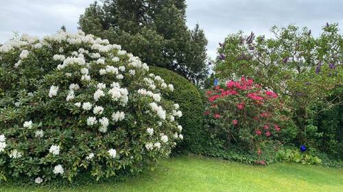 Garten - 