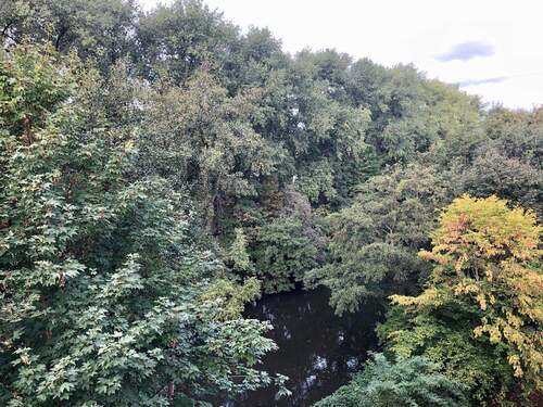 Ausblick - 3 Zimmer Etagenwohnung zur Miete in Hamburg