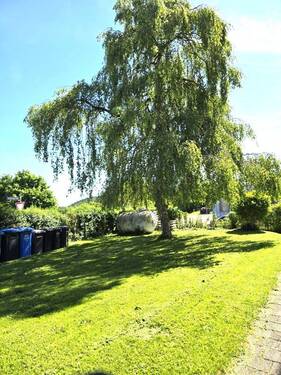 20250530_110100 (Mittel).jpg - 