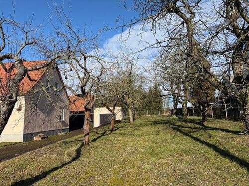 Garten - 3 Zimmer Einfamilienhaus zum Kaufen in Reichstädt / Frankenau