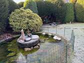 Gartenteich im Winter - 
