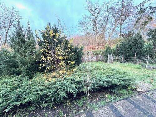 IMG_2925 - Grundstück in Groß Kreutz