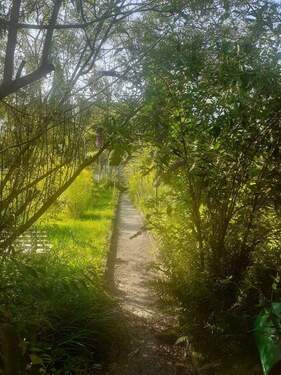 Garten Ansicht von oben Sommer - 8 Zimmer Mehrfamilienhaus, Wohnhaus in Hochspeyer