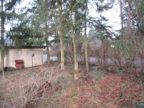 Blick zur Straße_1.JPG - 