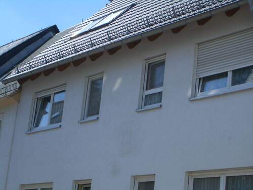 CIMG0558.JPG - 