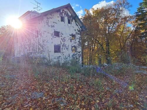 20251024_160614.jpg - 