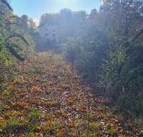 Attraktives Baugrundstück in Grünwald – Ideal für Ihr Traumprojekt