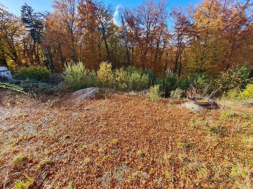 20251024_155706.jpg - Grundstück zum Kaufen in Grünwald