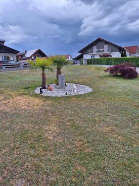 Garten vorne - 