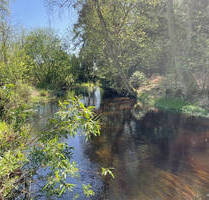 TOP-Campingplatz in Thüringen zu verkaufen - lukrative Vollexistenz in Thüringen nahe Rennsteig - Gotha
