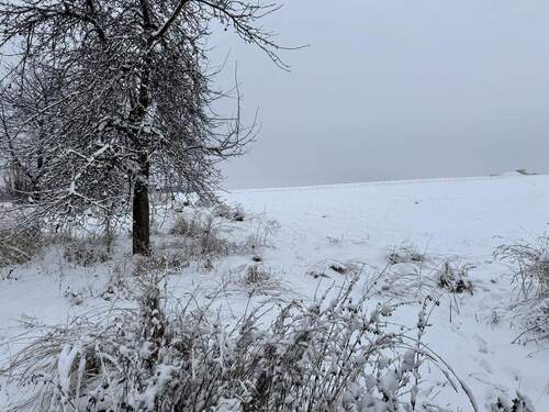 Ansicht Grundstück B.2 - 