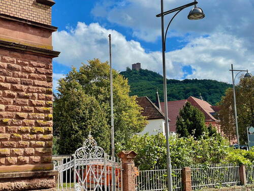 Trifels Blick - 
