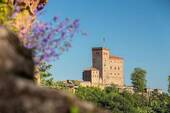 Trifels Blick - 