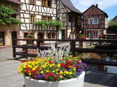 Altstadt (1 min entfernt) - 