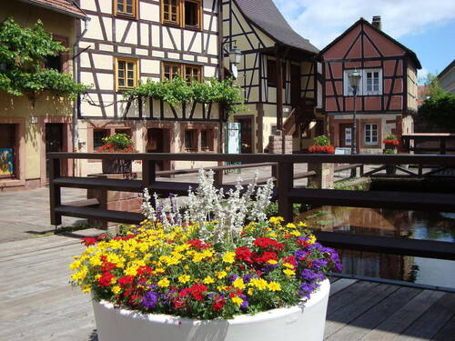 Altstadt (1 min entfernt) - 
