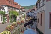 Altstadt (1 min entfernt) - 