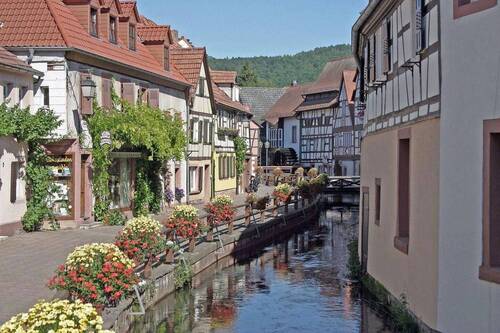Altstadt (1 min entfernt) - 