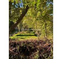 Schöner Bauplatz (Baulücke) und eine großzügige Fläche Gartenland 2.824m² in der Natur. 2 Flurstücke - Sondershausen / Schersen