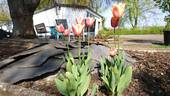 Bild 16 - 
