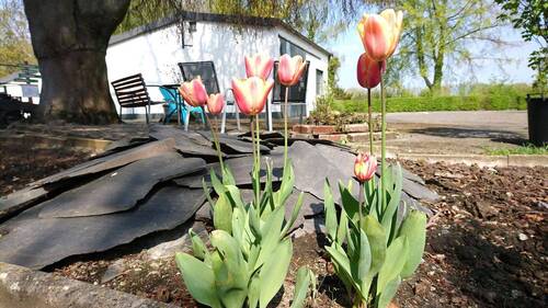 Bild 16 - 