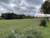 Bild 3 - Grundstück in Trebbin