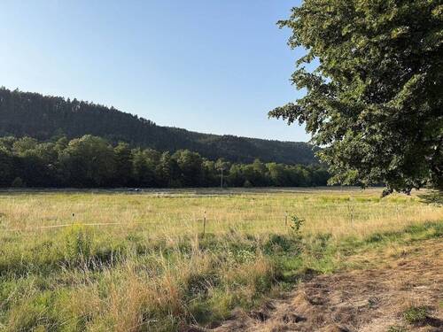 2025-08-14 18.45.36 - Grundstück zum Kaufen in Arnstadt