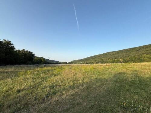 2025-08-14 18.52.48 - Grundstück in Arnstadt