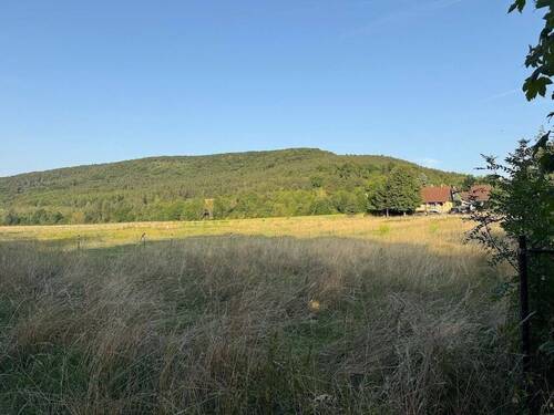 2025-08-14 18.50.15 - Grundstück in Arnstadt zum Kaufen