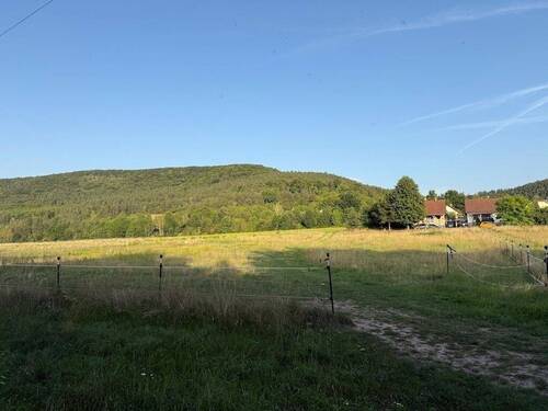 2025-08-14 18.50.42 - 