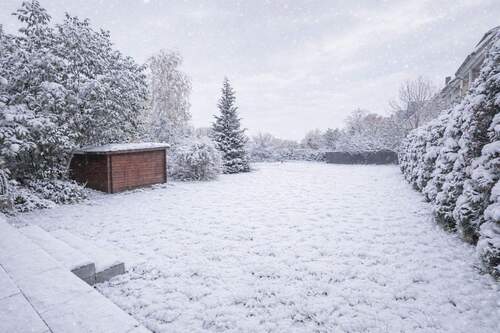 Der weitläufige Garten - 1 Zimmer Mehrfamilienhaus, Wohnhaus zum Kaufen in Bad Vilbel