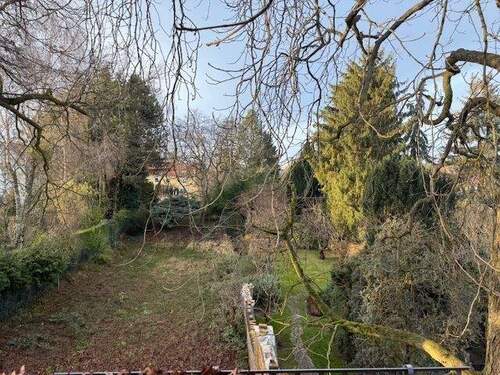 IMG_7449 - Grundstück in Berlin