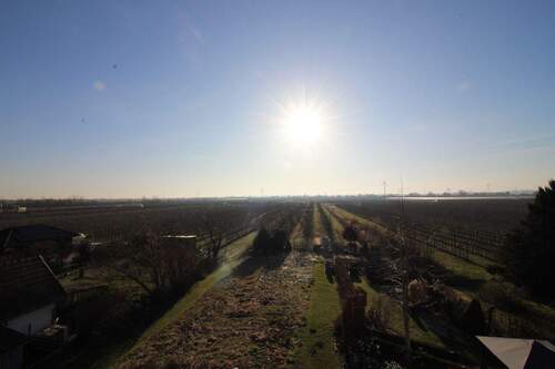 Aublick auf Apfelfelder - Grundstück zum Kaufen in Hollern-Twielenfleth