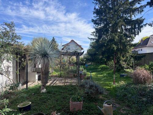 H 554 Garten Ansicht 1.jpeg - 8 Zimmer Mehrfamilienhaus, Wohnhaus zum Kaufen in Lampertheim