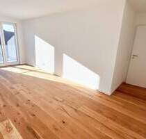 Moderne 4-Zimmer-Neubauwohnung mit Einbauküche - Auenstein-Ilsfeld