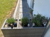 Teilansicht Garten - 
