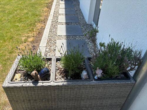 Teilansicht Garten - 