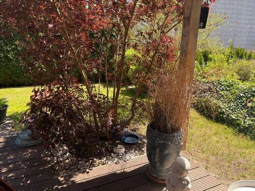 Gartenbereich - 