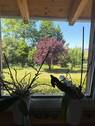  2 Fenster von der Galerie - 