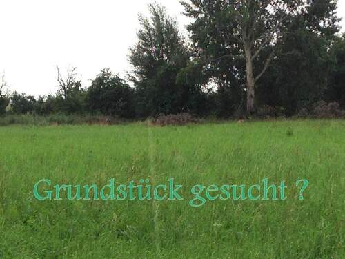 Grundstück gesucht .JPG - Selchow-Grundstück am Südrand von Berlin