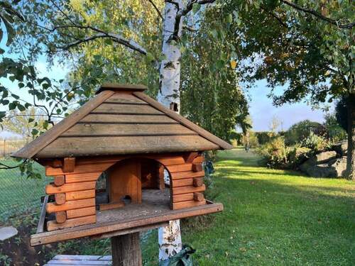 Blick in den Garten - 