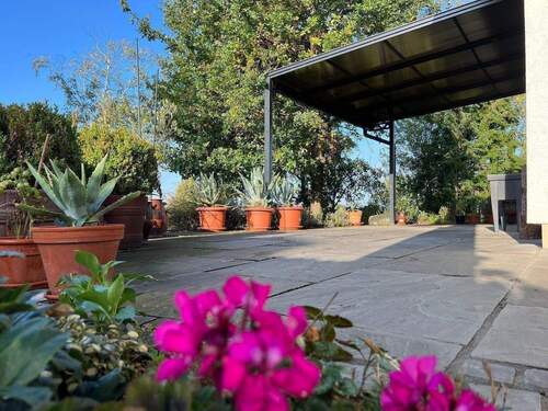 Terrasse - 