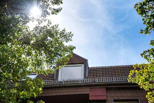 Dachfenster - 